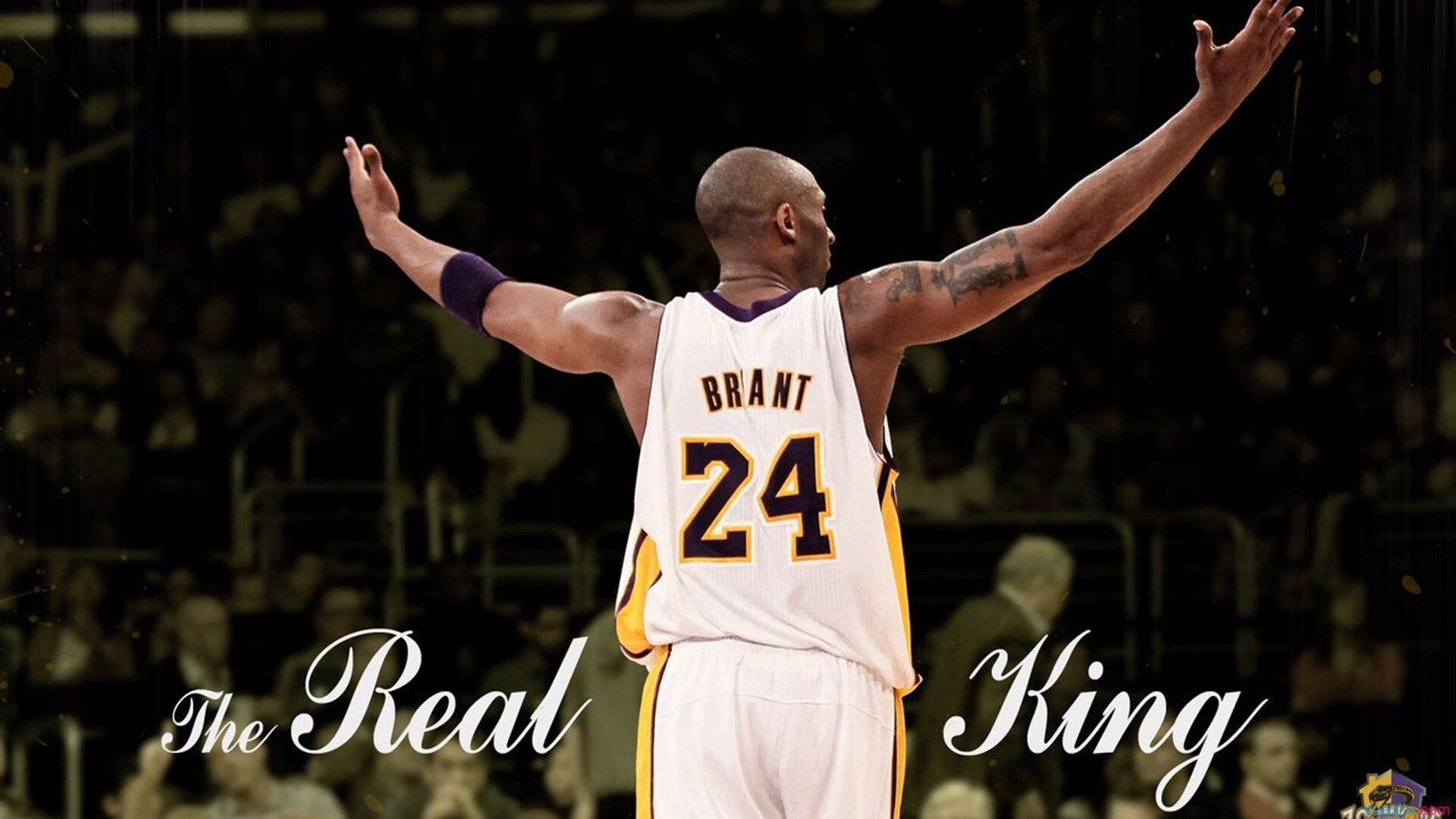 从东亚杯看国足 热血走势凸显希望，东亚杯国足对日本